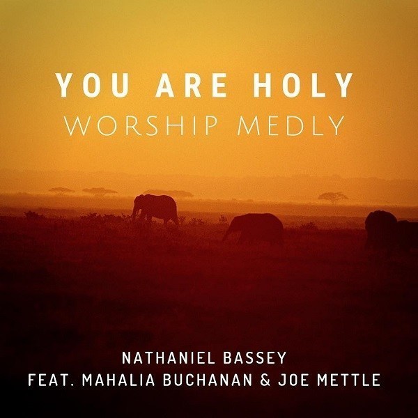 Download Nathaniel Bassey You Are Holy MP3