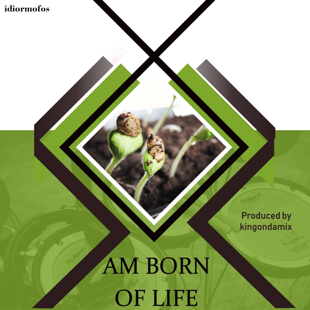 Idiomorfos - Born of Life