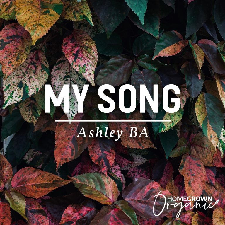 Download Mp3 Ashley BA - My Song