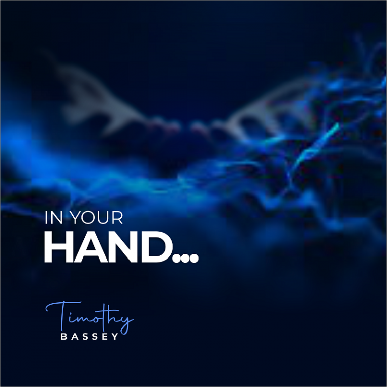 In Your Hands by Timothy Bassey 