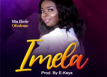 Imela by Ebele Ofodeme