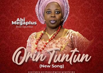 Abi Megaplus Orintuntun